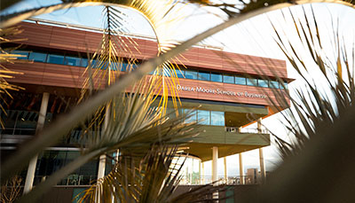 Exterior of Darla Moore School of Business through palm fronds.