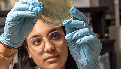 Researcher holding up a petri dish. 